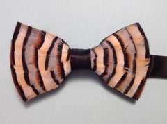 Charles - Knot Options