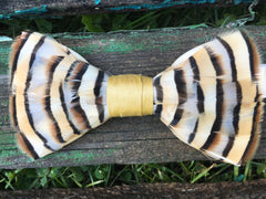 Charles - Knot Options